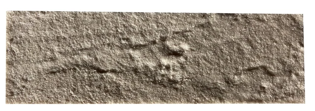 Оригинальная фотография образца 085 из каталога производителя